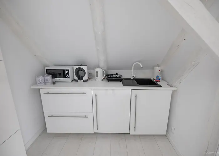 公寓 Jagodowy Dwor 亚斯塔尔尼亚