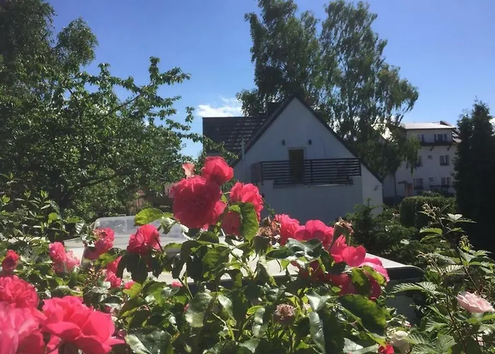 公寓 Jagodowy Dwor