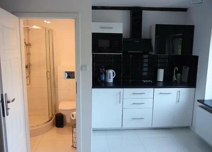 Jagodowy Dwor 公寓